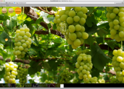 ぶどう農園ホームページ制作