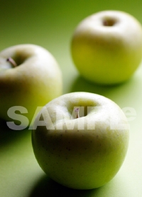 リンゴの商品撮影